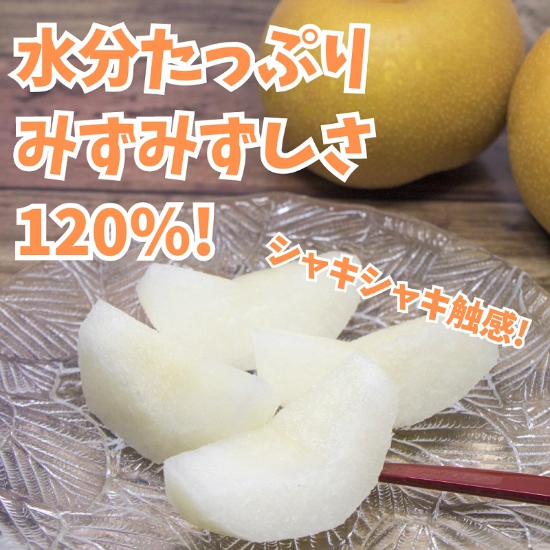 ������8ǯʬ ͽ����աۻ�ë������:�Ⱪ���ֹ��� 5kg��14��(��)�� ���फ�黺��ľ��!