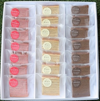 VIVANT/�ֽ�ϻ����IZAGUMO��(15����/21����)�פ��äȤ�16�ؤ�ʿ�Ƥ��Х��९���إ�