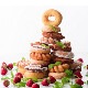 ���եա��ߤ�ʤǳڤ���롪�֥ɡ��ʥ��奿���Family������/Large�������ʤ������Ѵʰ������ˡ�