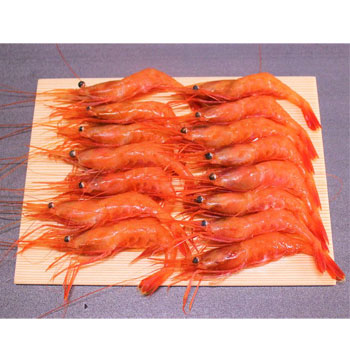 ���Ĳ����ٻ��Ѥ�ŷ���ť��� Ƭ�դ��ݤ�������̥��եȥ����������