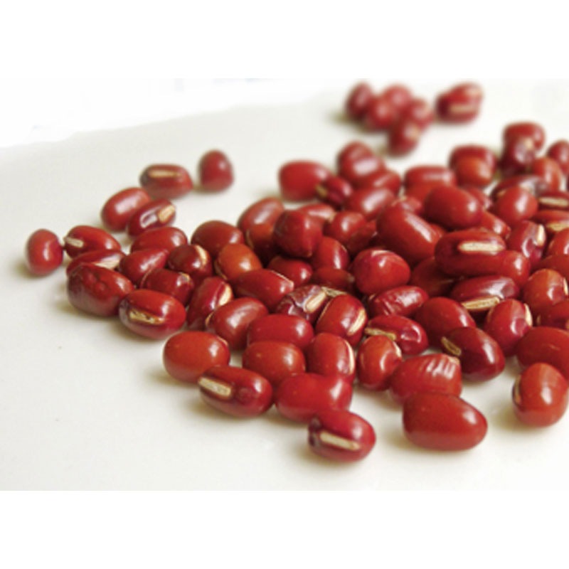 ���ġּ���γ���� 5�ġ��ٻ��Υ�����ա��ɡؼ��۾Ƥ��٤�γ����