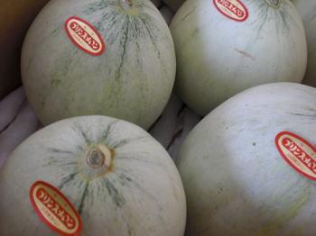 �����Ĳ̡�ʡ�温���ץ�󥹥����/4kgȢ 7��9������ �����ᾦ�ʢ�