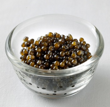 �̥���ץ�����ή��ǰ�Ĺ񻺥���ӥ��ֱ����ͥ���ӥ��ױ����ͥ����ǥ�ۥƥ�Ƴ�