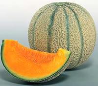 �����Ĳ̡�ʡ�温���ޥ륻����������ֺ��ɱ�����/5��6�� 1������  �����ᾦ�ʢ�