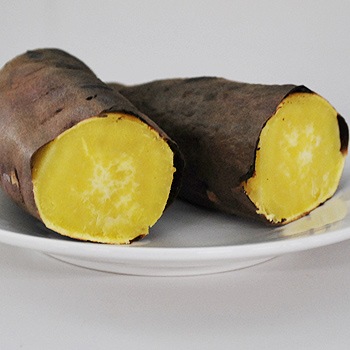 �ܺ�����ָ�Ϻ���� M������ 5kg������������ľ���Τ��Ĥޤ��� �����ᾦ�ʢ�