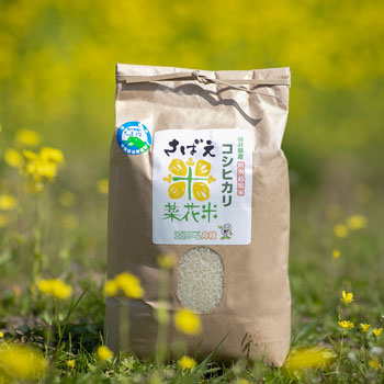 �����ե����཮�ޡ�������5ǯ�����������Υ����ҥ��ꡡ���Ф��ڲ��ơ�����(3kg/5kg/10kg)��ʡ�温ǧ�ڤ����̺�����