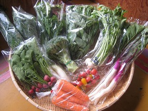 ���׻Ԥ����Ȥ���ľ���ֿ�����ڥ��åȡץ��������ե�����/�ٻ������׻�