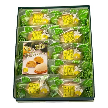 �٥른�������륫�ǥ��۷�Ʋ����ͤΥ��󥱡��� 10����