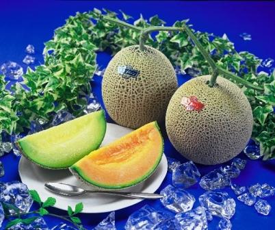 ��ͽ����բ� �����Ĳ̡�ʡ�温�����򥢡��륹����� 2�̲���Ȣ���� �����ᾦ�ʢ�