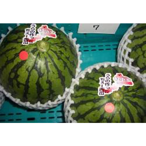 ͽբĲ̡ʡ温Ⱦ̣Ȣ ᾦʢ