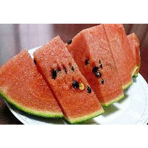 ͽբĲ̡ʡ温Ⱦ̣Ȣ ᾦʢ