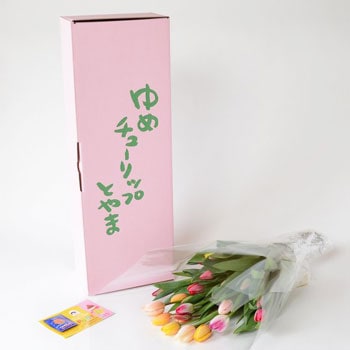 �֥ߥå����֡��� �������� 25���� 8033�� �ٻ��������塼��åפβ�«����ľ��