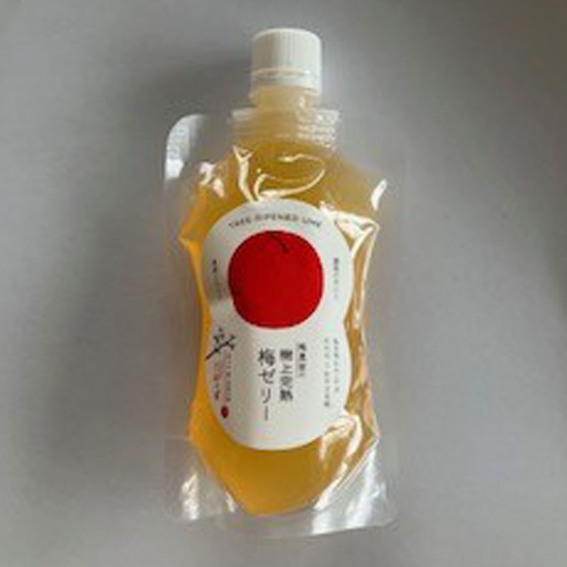 ����äݡִ����ߥ��꡼10�ġ����åȥ��եȥ��åȭ���