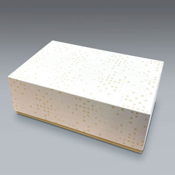 ��졧�ֶ�����饹����ڡ���2�ȡ��