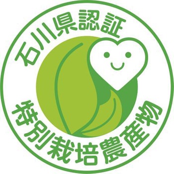 ������6ǯ��ͽ����ճ��ϡ��������졧�����̺����ơ�����6ǯ�ٻ� �����Ҥ��� ���������ơ����ǧ�ڤ����̺�������ʪ