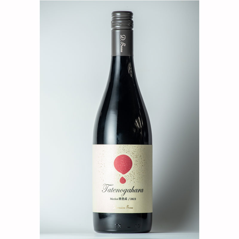 �ȥ�ܡ���Ω�������î����2023��ŷ�������˷äޤ줿ǯ��̵�ɲ� �֥磻��