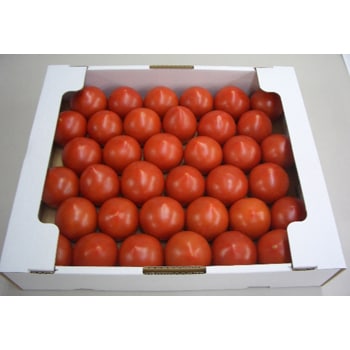 �����Ĳ̡�ʡ�温�� �ۤΥ�ӡ��ȥޥ� 2kg