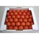 �����Ĳ̡�ʡ�温�� �ۤΥ�ӡ��ȥޥ� 2kg