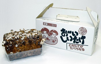 ���������Ӿޤ������� ���ݥ��åȡ֤����� ���������� �����ᾦ�ʢ�