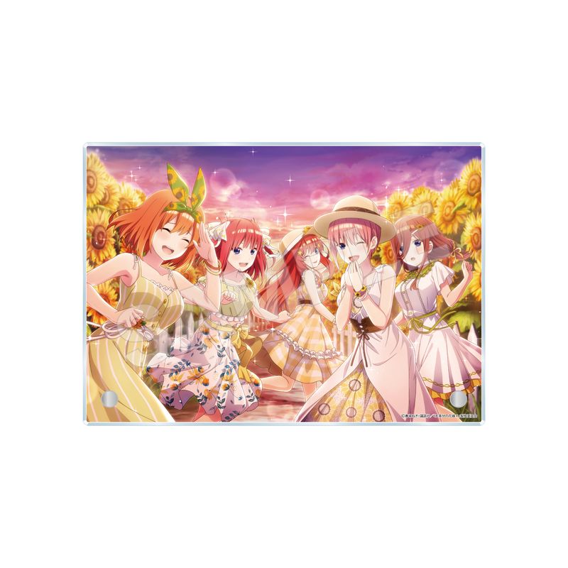 予約受付中】『五等分の花嫁 五つ子ちゃんはパズルを五等分できない