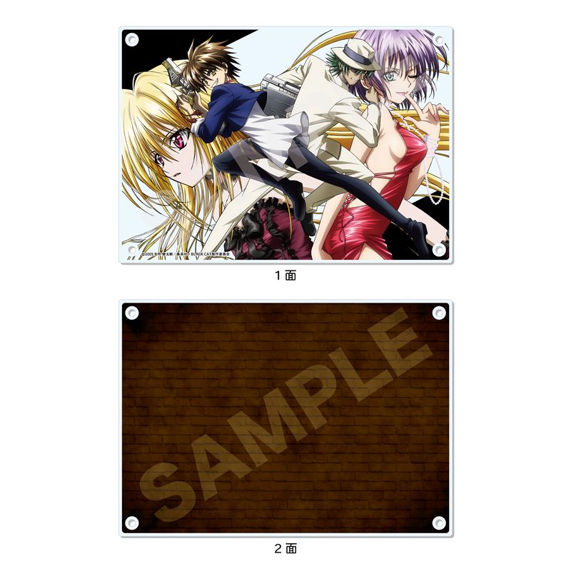 アニメ BLACK CAT』アクリルボード 01 トレイン・イヴ・スヴェン