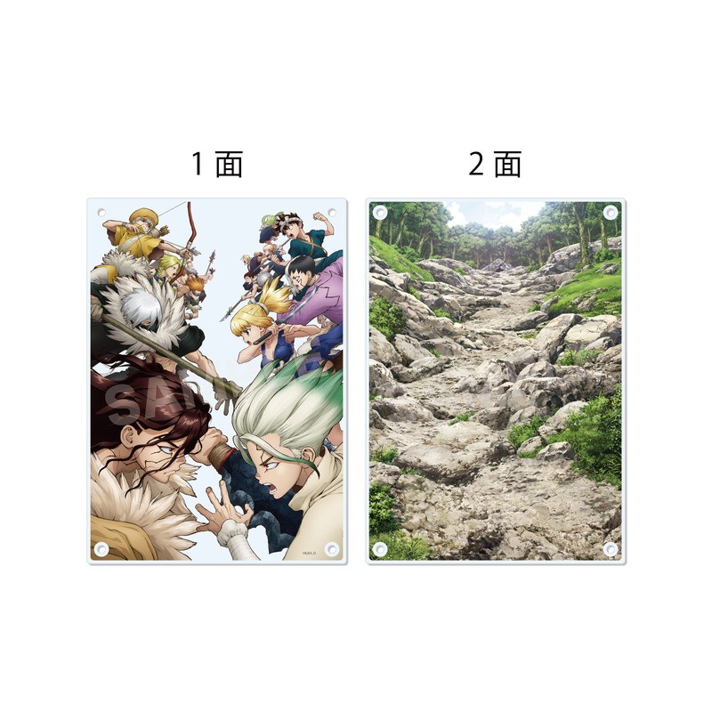 Dr．STONE』アクリルボード 01 2期キービジュアル | 人気アニメ