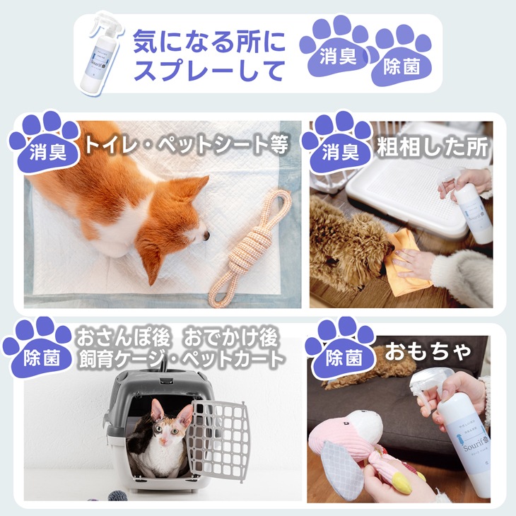 Sourif ���꡼�� the Pet ���å� 300ml+1000ml �ڥå� �� ǭ <br>�ڥ᡼����ľ�β��ʡ�