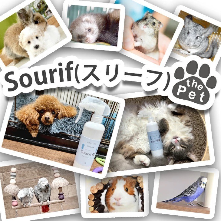 Sourif ���꡼�� the Pet ���å� 300ml+1000ml �ڥå� �� ǭ <br>�ڥ᡼����ľ�β��ʡ�