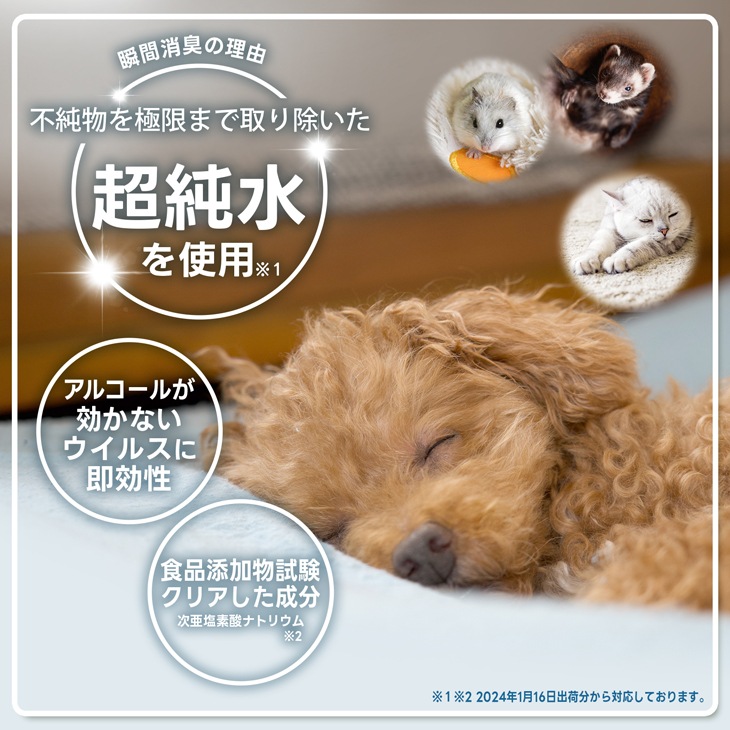 Sourif ���꡼�� the Pet ���å� 300ml+1000ml �ڥå� �� ǭ <br>�ڥ᡼����ľ�β��ʡ�