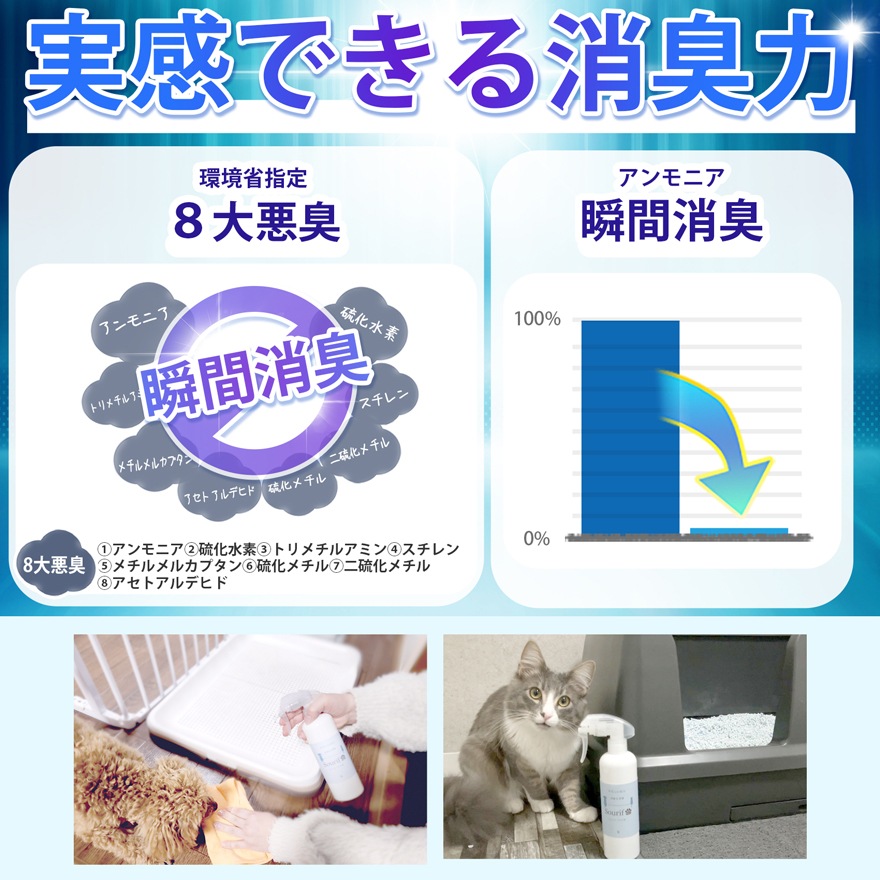 Sourif ���꡼�� the Pet ���å� 300ml+1000ml �ڥå� �� ǭ <br>�ڥ᡼����ľ�β��ʡ�