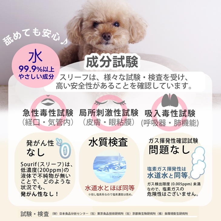 Sourif ���꡼�� the Pet ���å� 300ml+1000ml �ڥå� �� ǭ <br>�ڥ᡼����ľ�β��ʡ�