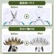 ��ʪ���꡼�ʡ� ���顦��ˤ����� 300ml