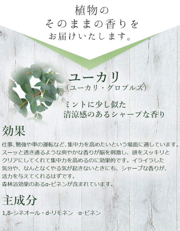 �Ȥ�ɤ�ι�� �桼���� ���å��󥷥�륪���� 10ml