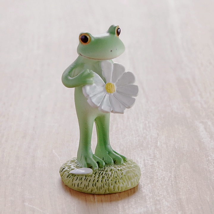 花占いの結果は？ コポー Copeau - カエルのコポーならクッチーナ