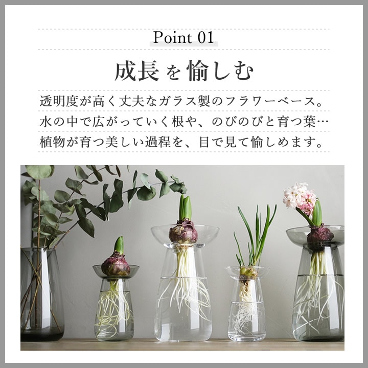 アクアカルチャーベース Lサイズ 120ml キントー KINTO ｜ キッチン