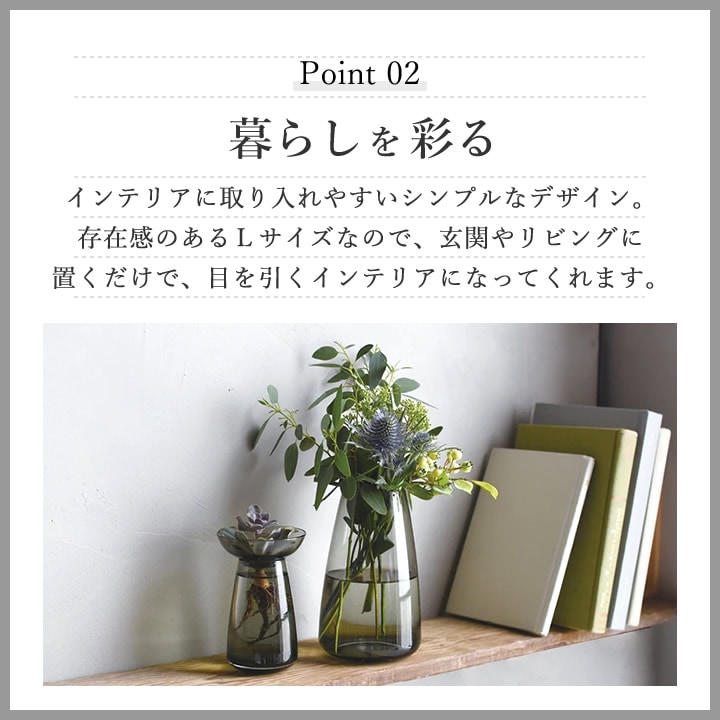 アクアカルチャーベース Lサイズ 120ml キントー KINTO