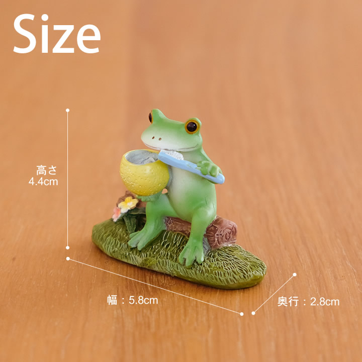 歯磨きするカエル コポー Copeau - カエルのコポーならクッチーナ