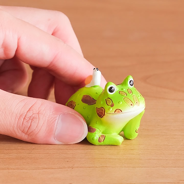 雨音を聞くツノガエル コポー Copeau - カエルのコポーならクッチーナ