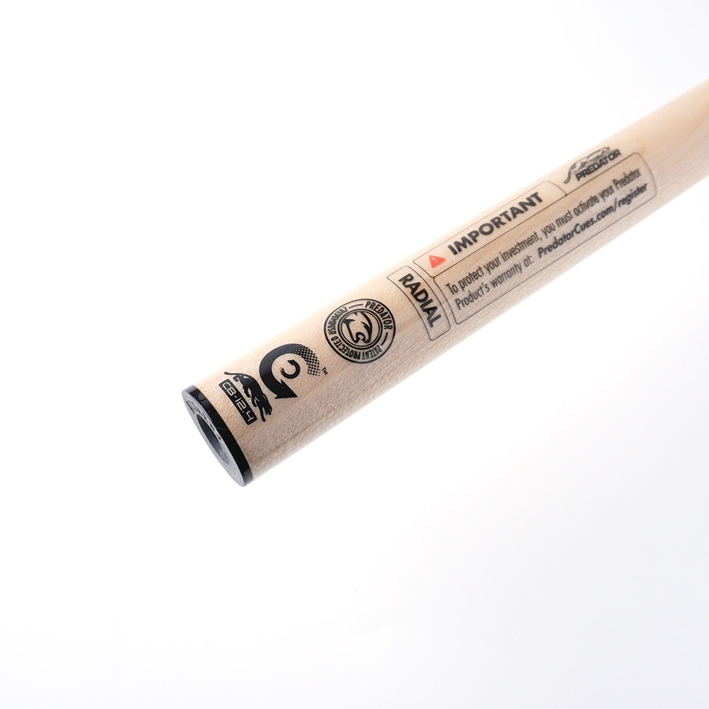 ե ץǥ CENTRO ȥ 12.4 饸