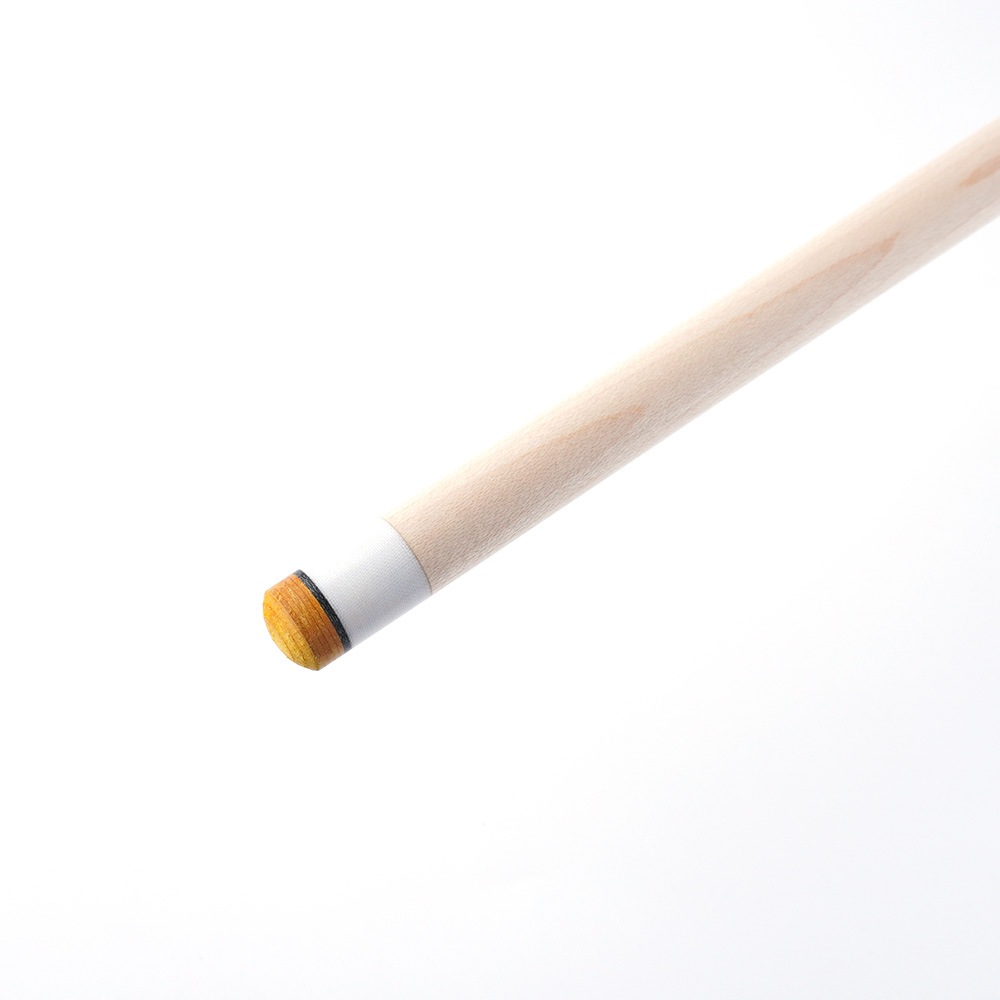 ե ץǥ CENTRO ȥ 12.4 ˥å