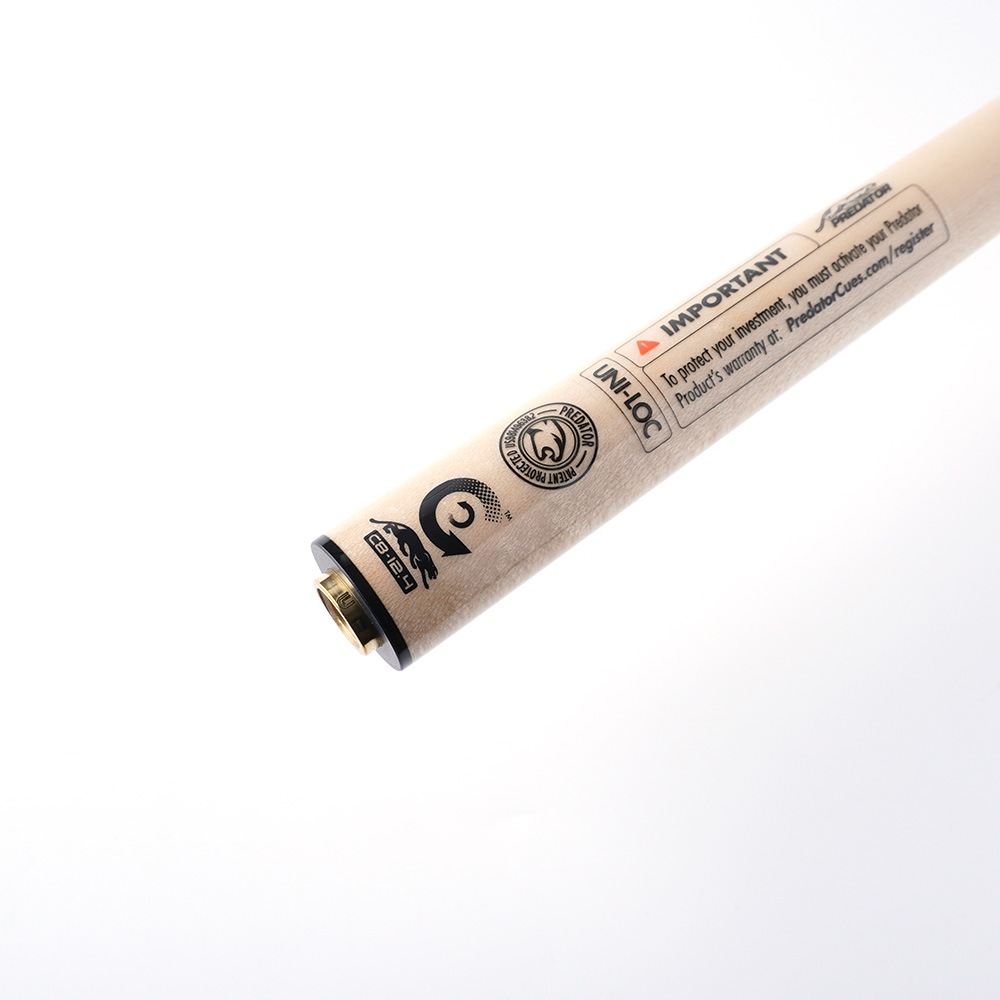 ե ץǥ CENTRO ȥ 12.4 ˥å