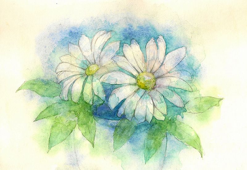 マーガレット | 講師作品,美術・書道,水彩画 | カルチャー