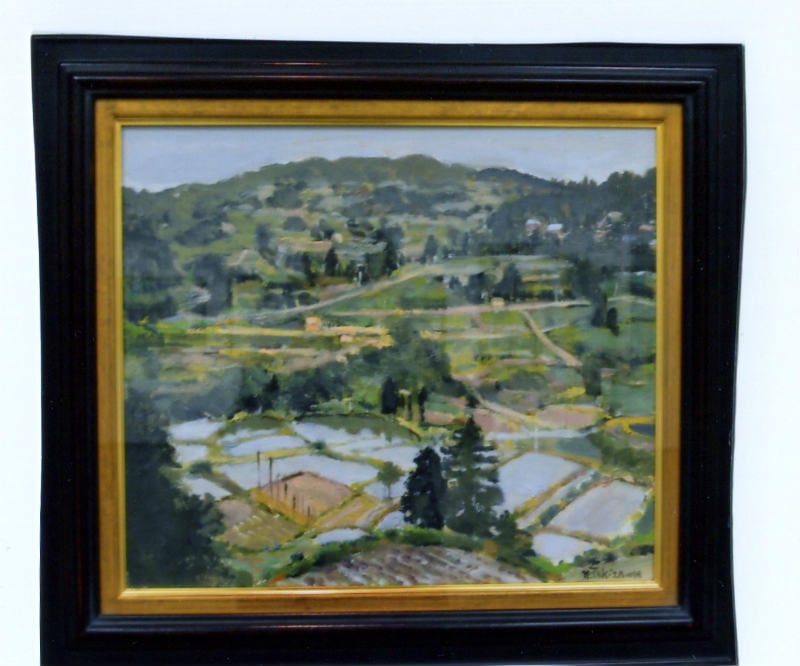 ���Ż�����