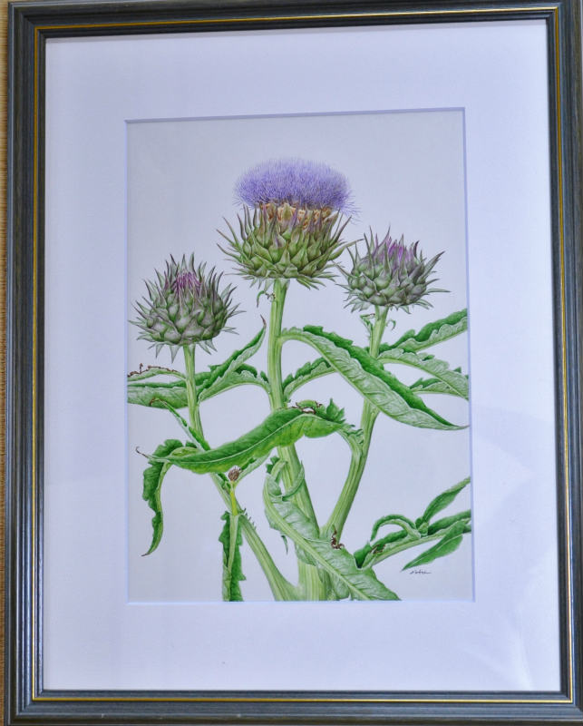 �ܥ��˥��륢���ȡ֥����ƥ����硼����