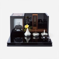 ڹʩš̵̾ʩ  ߥ ѥȡּͳ ͡ ̵