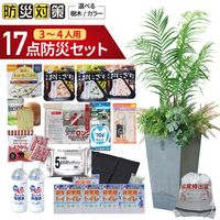 ��ľ���ۥ쥹���塼���꡼�� ���ϥ������� �ɺ� ��ȭ������̵����