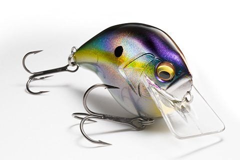 クランクベイト