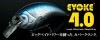 deps EVOKE 4.0 (イヴォーク)