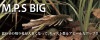 ボトムアップ M.P.S BIG(エム・ピー・エス ビッグ)