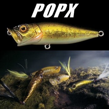 メガバス タイプエックス Megabass TYPE-X - 【バス・トラウト